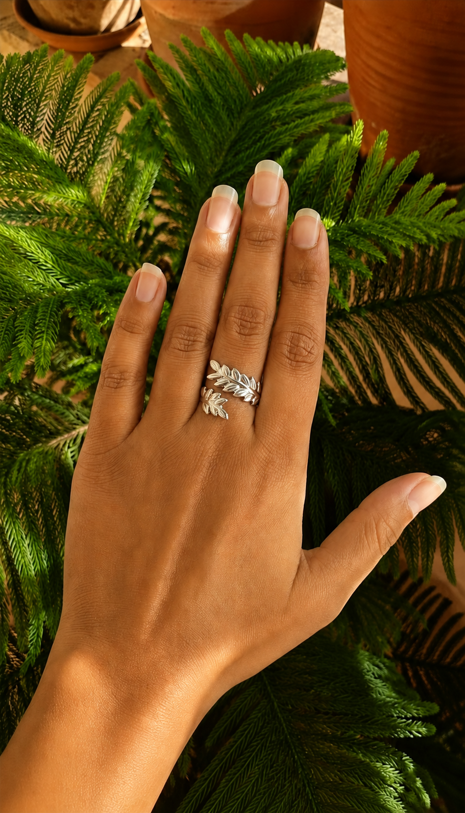 Anillo laurel